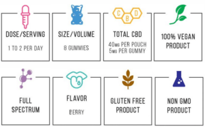 CBD Gummies Benefits CBDfx